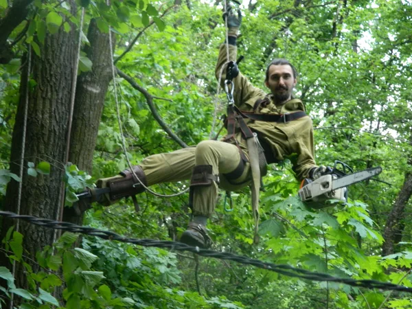 Спиливание деревьев