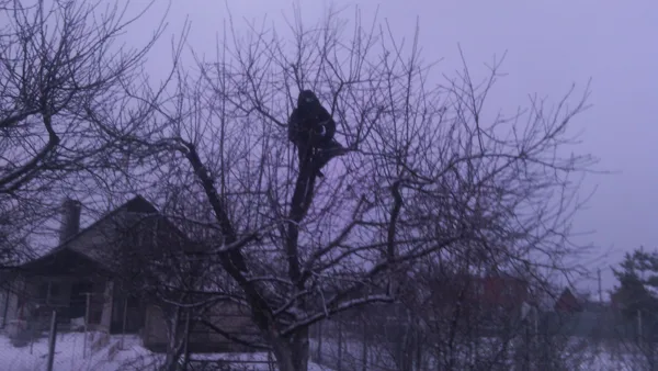 Обрезка деревьев